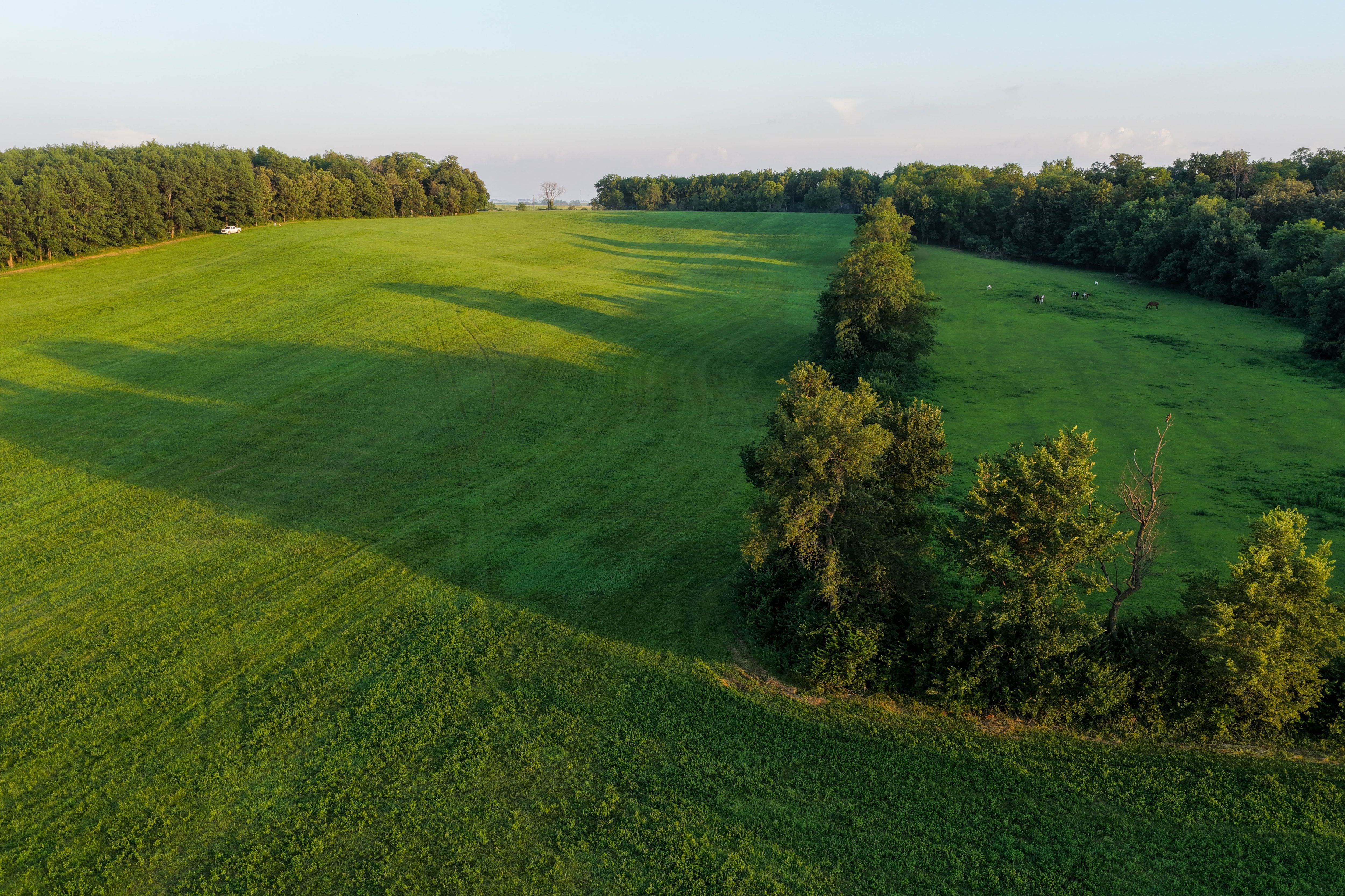 Listing Photo: Johnson County Land For Sale-11